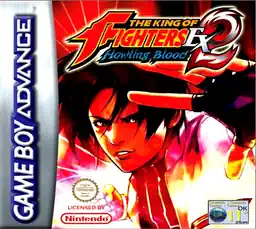 King of Fighters EX, The - NeoBlood